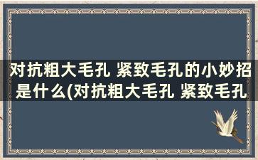 对抗粗大毛孔 紧致毛孔的小妙招是什么(对抗粗大毛孔 紧致毛孔的小妙招)